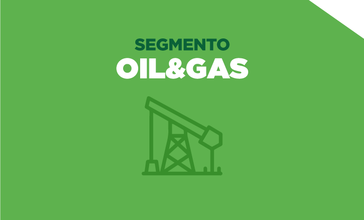Segmento Oil and Gas